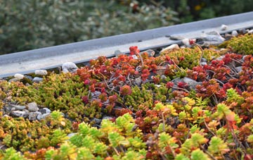 the cost of Thornhill Park green roof installation